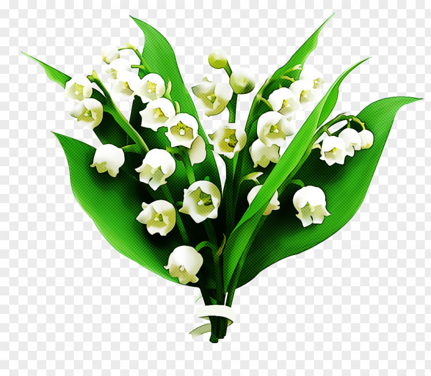 Flower Lily Of The Valley Plant Bouquet Cut Flowers PNG
