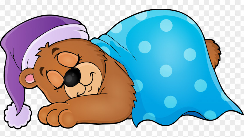 Sleep Cartoon Bear Vector Graphics Clip Art Illustration PNG