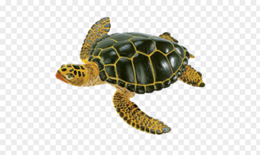 Turtle Kemp's Ridley Sea Green Safari Ltd PNG