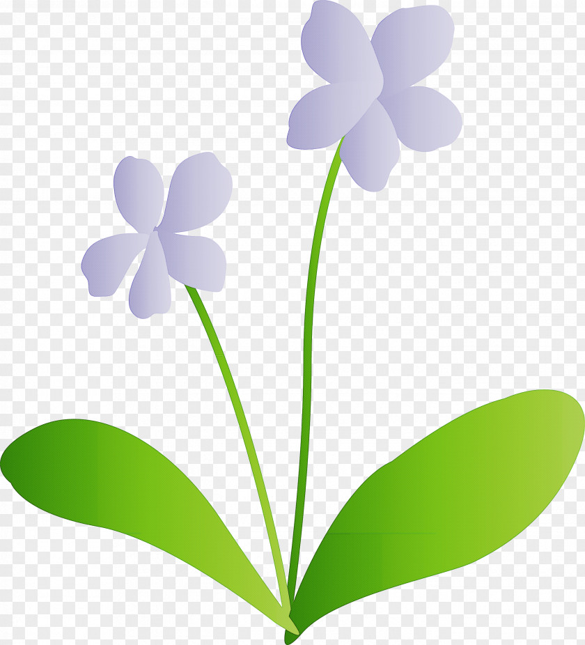 Violet Flower PNG