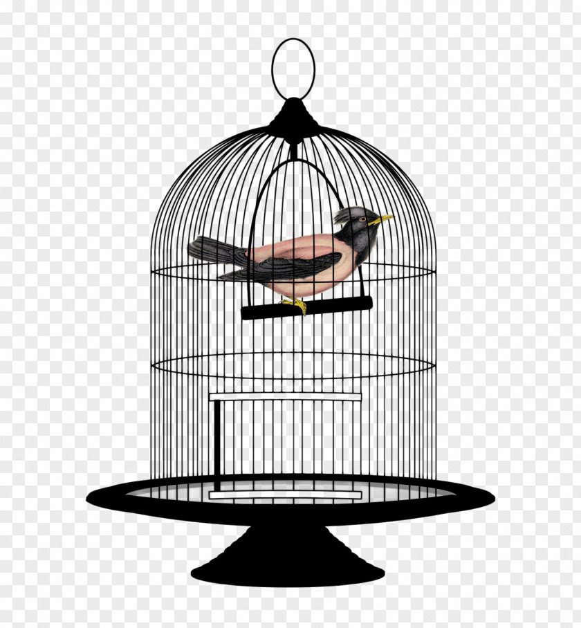 Bird Cage Lovebird Birdcage Clip Art PNG
