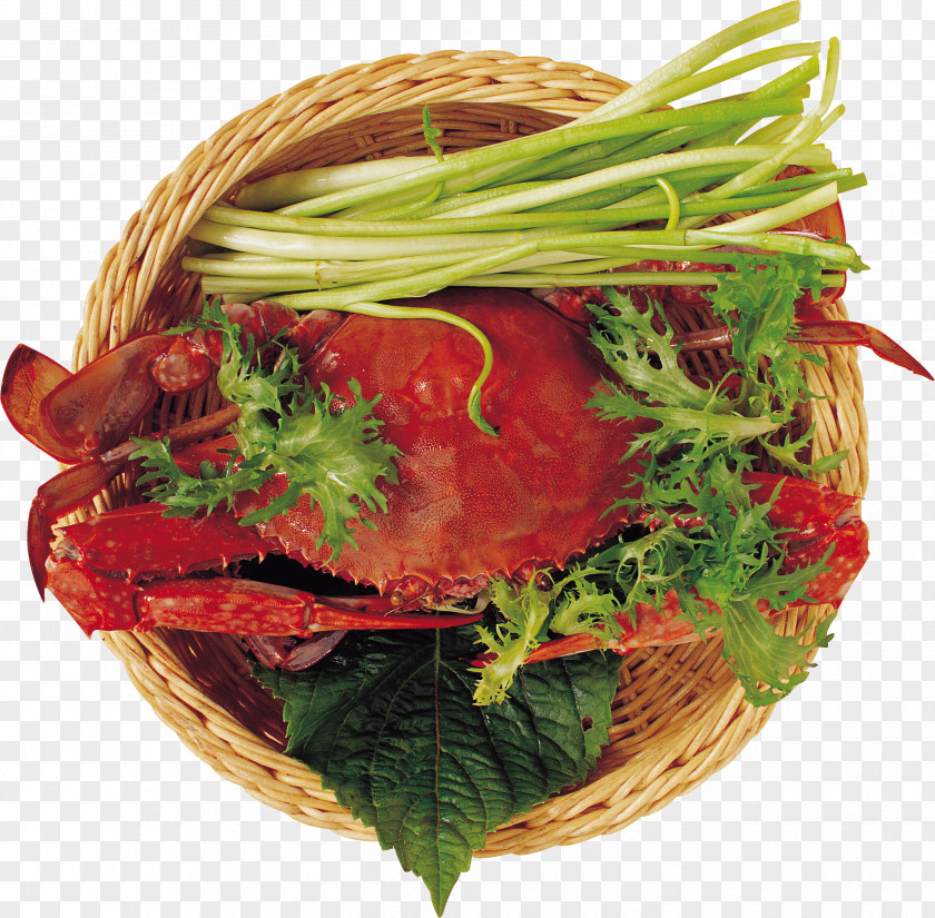 Crab Crayfish As Food Squid Seafood PNG
