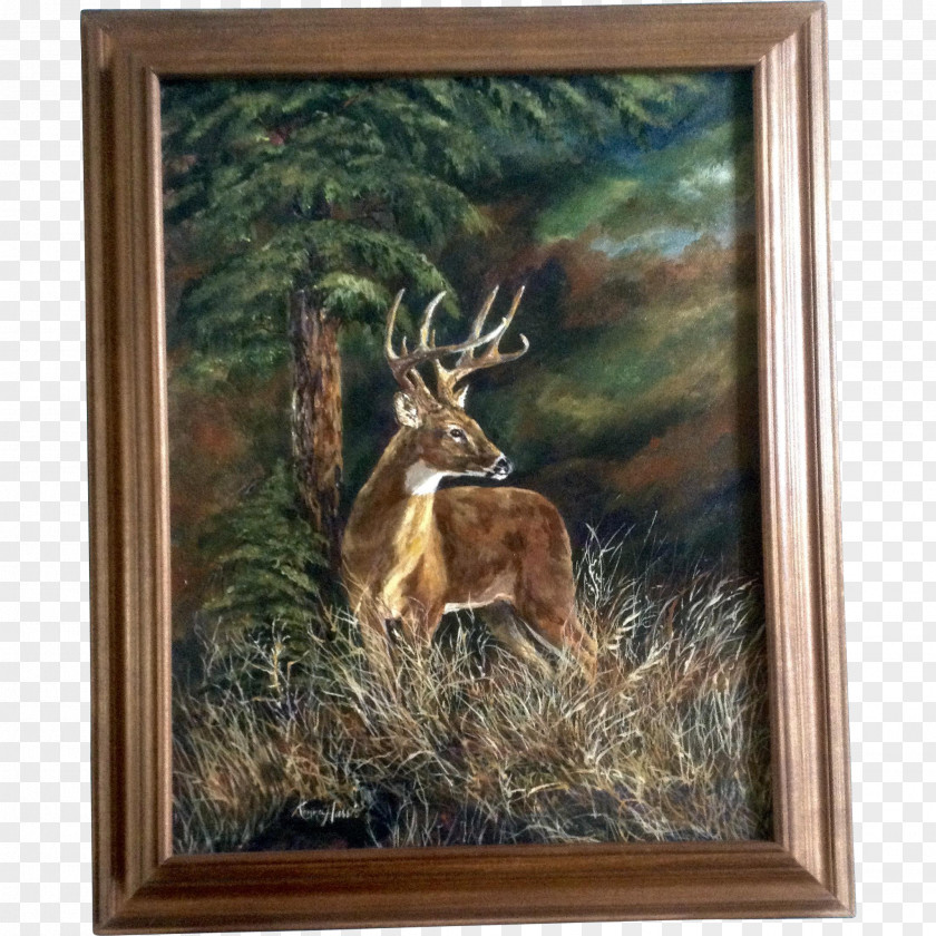 Deer White-tailed Elk Oil Painting PNG