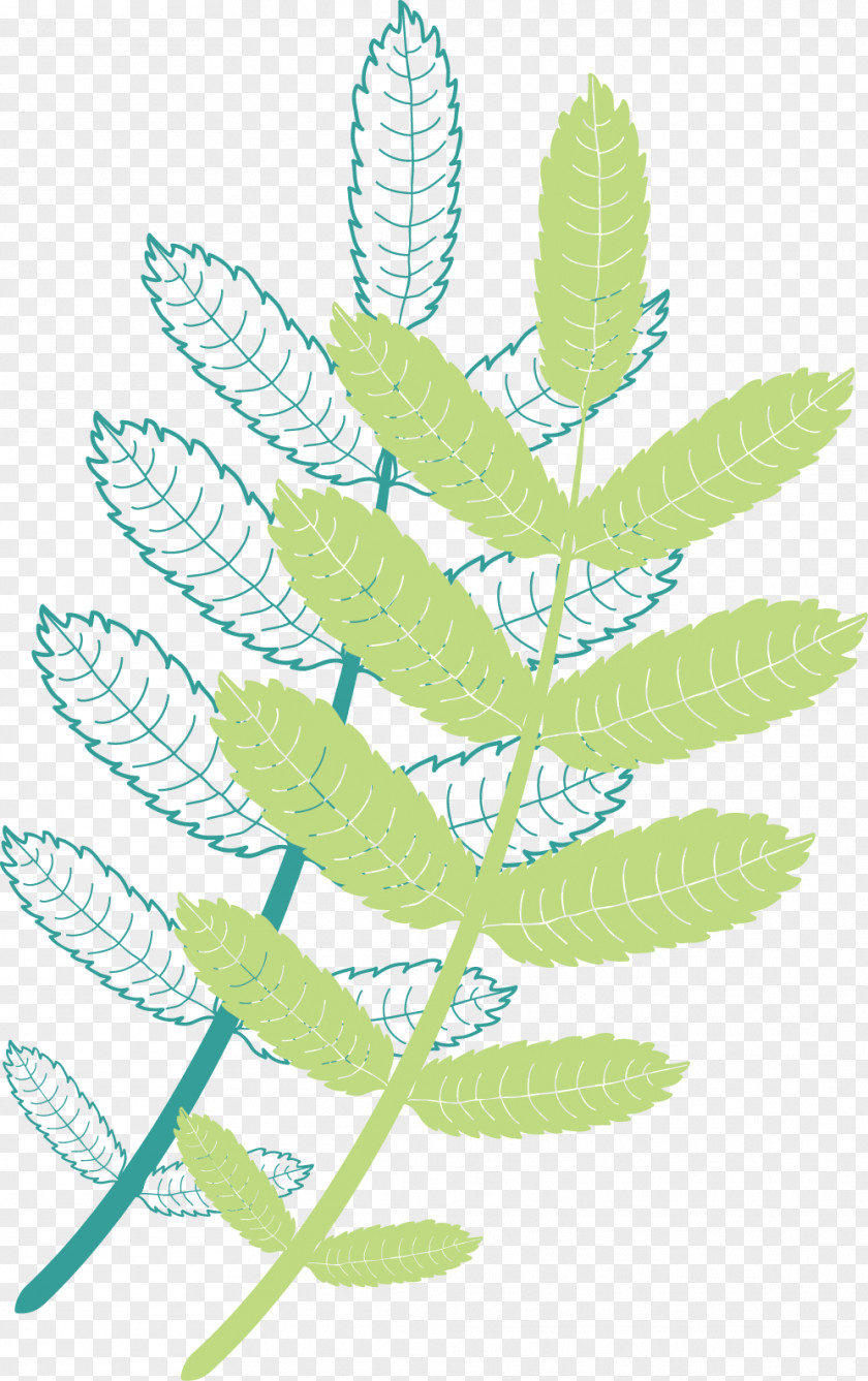 Leaves Leaf Plant Stem Pattern PNG