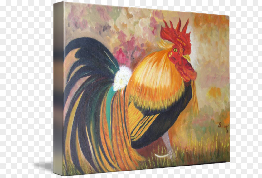 Painting Rooster Feather Throw Pillows Beak PNG