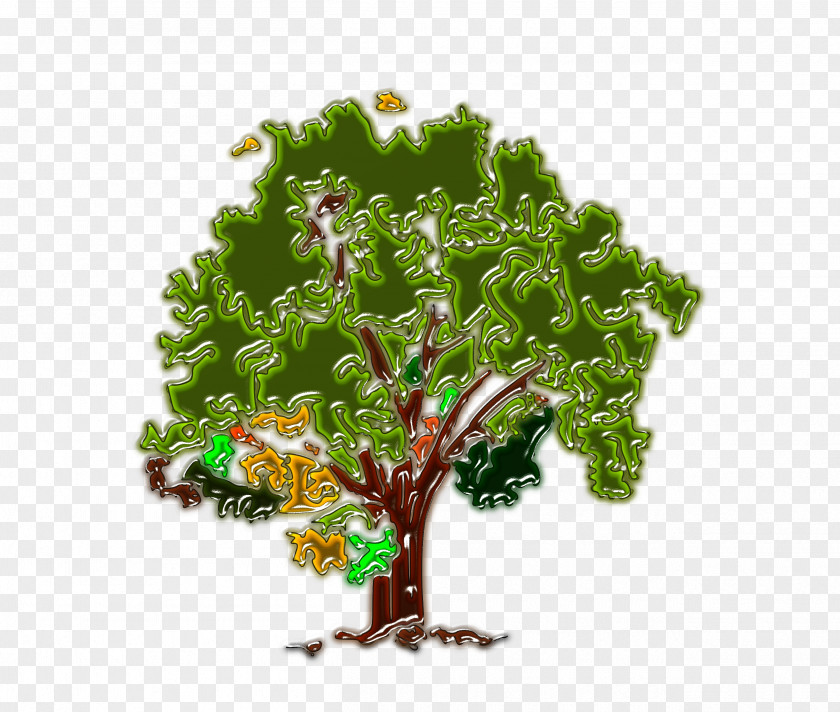 Tree Green Nature PNG