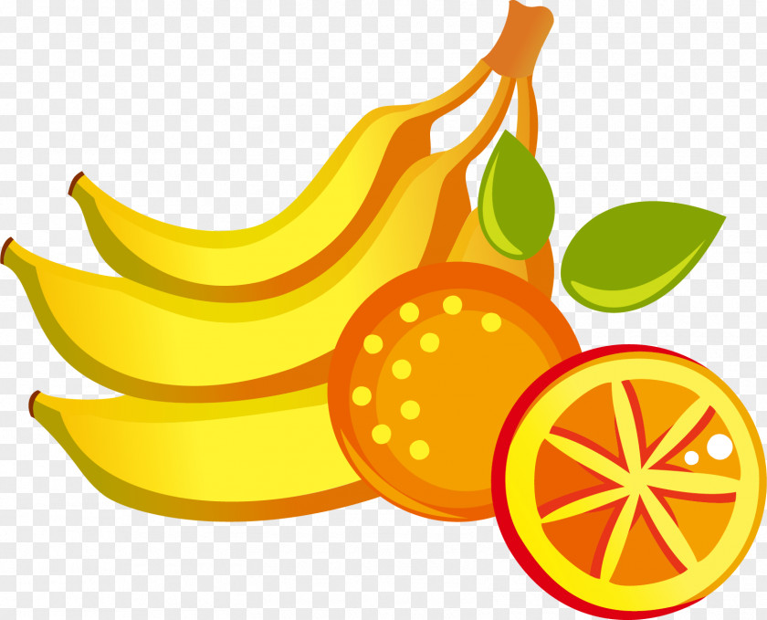 Fruit Image Design Adobe Photoshop PNG