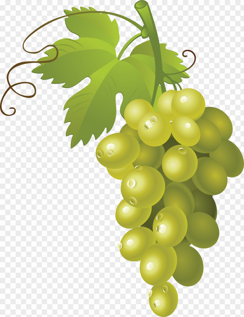Grape Image Fruit Clip Art PNG