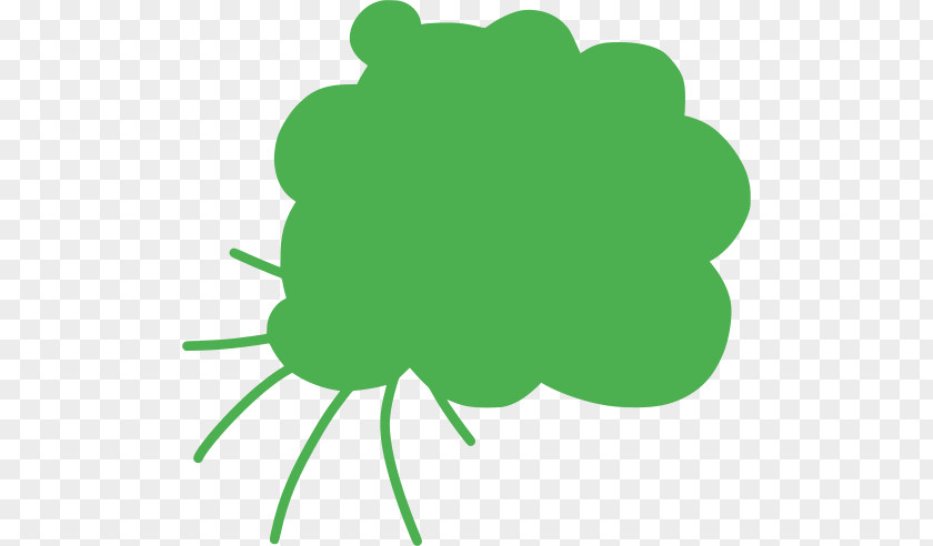 Plant Leaf Green Background PNG
