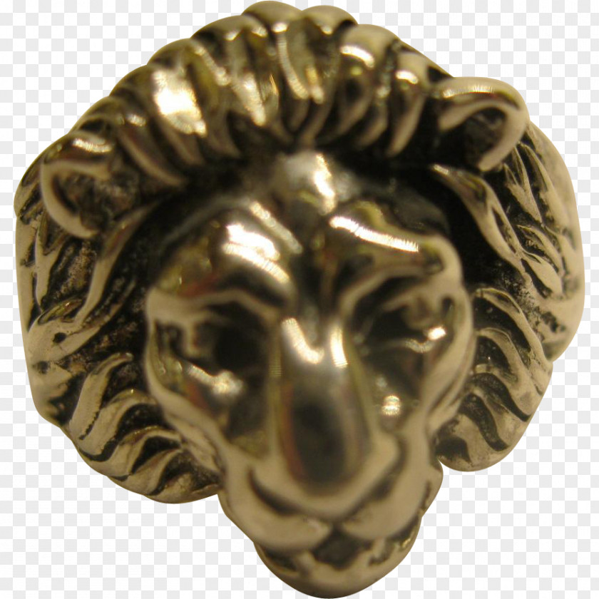 Silver Sterling Lion 01504 Bronze PNG