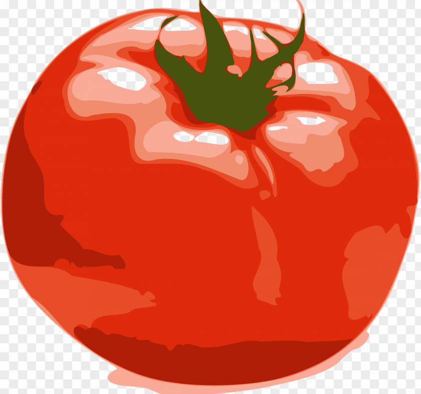 Tomato Slices Roma Soup Caprese Salad Clip Art PNG