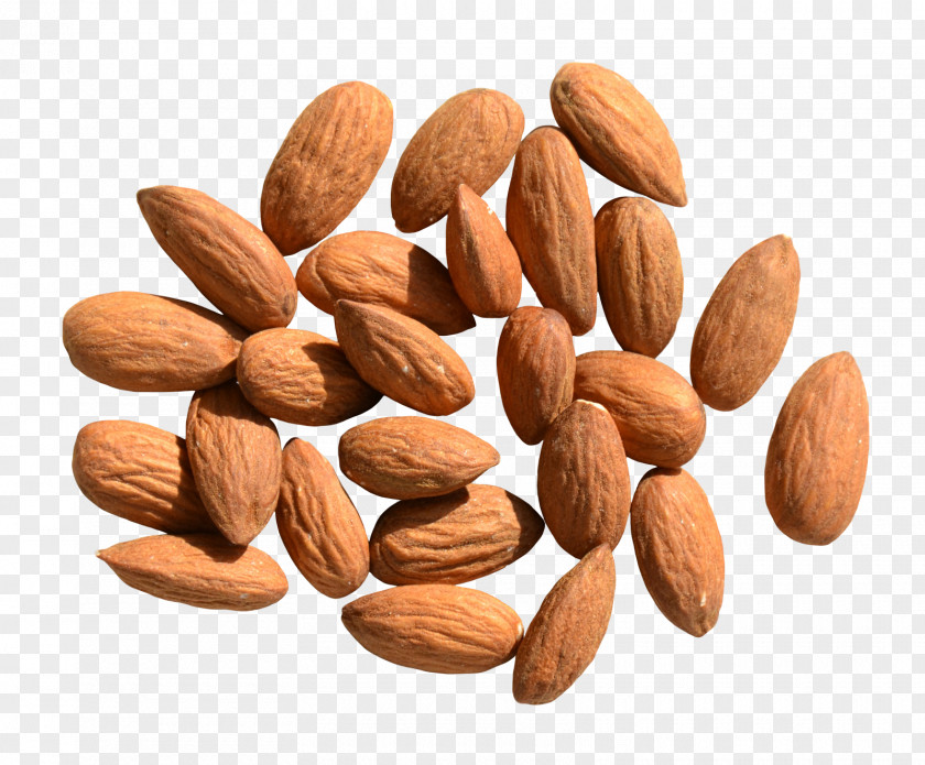 Almond Nut Food PNG