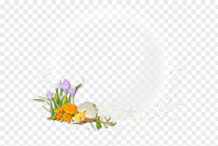 Design Floral Flowering Plant Desktop Wallpaper Computer PNG