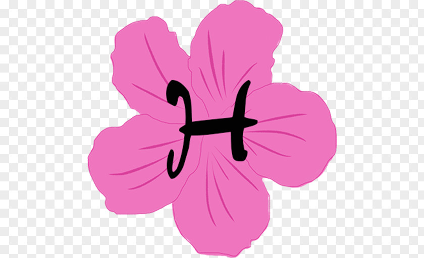Design Hibiscus Pink M Petal Clip Art PNG