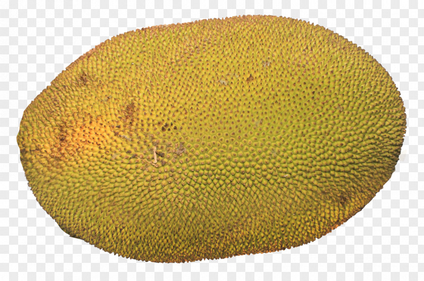 Jackfruit Citrus Kiwifruit Cempedak PNG