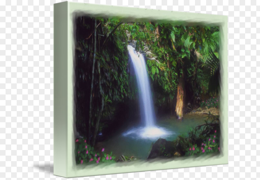 Rain Forest El Yunque National Waterfall Water Resources Rainforest Nature Reserve PNG