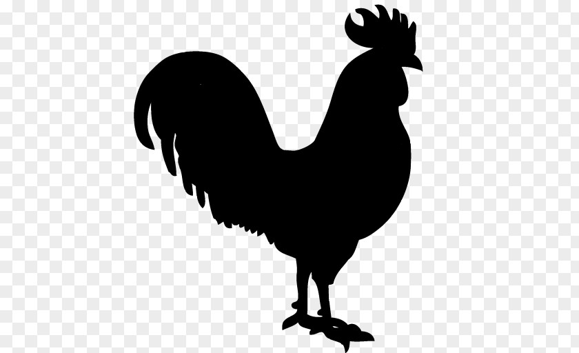 Rooster Stencil Chicken Drawing PNG