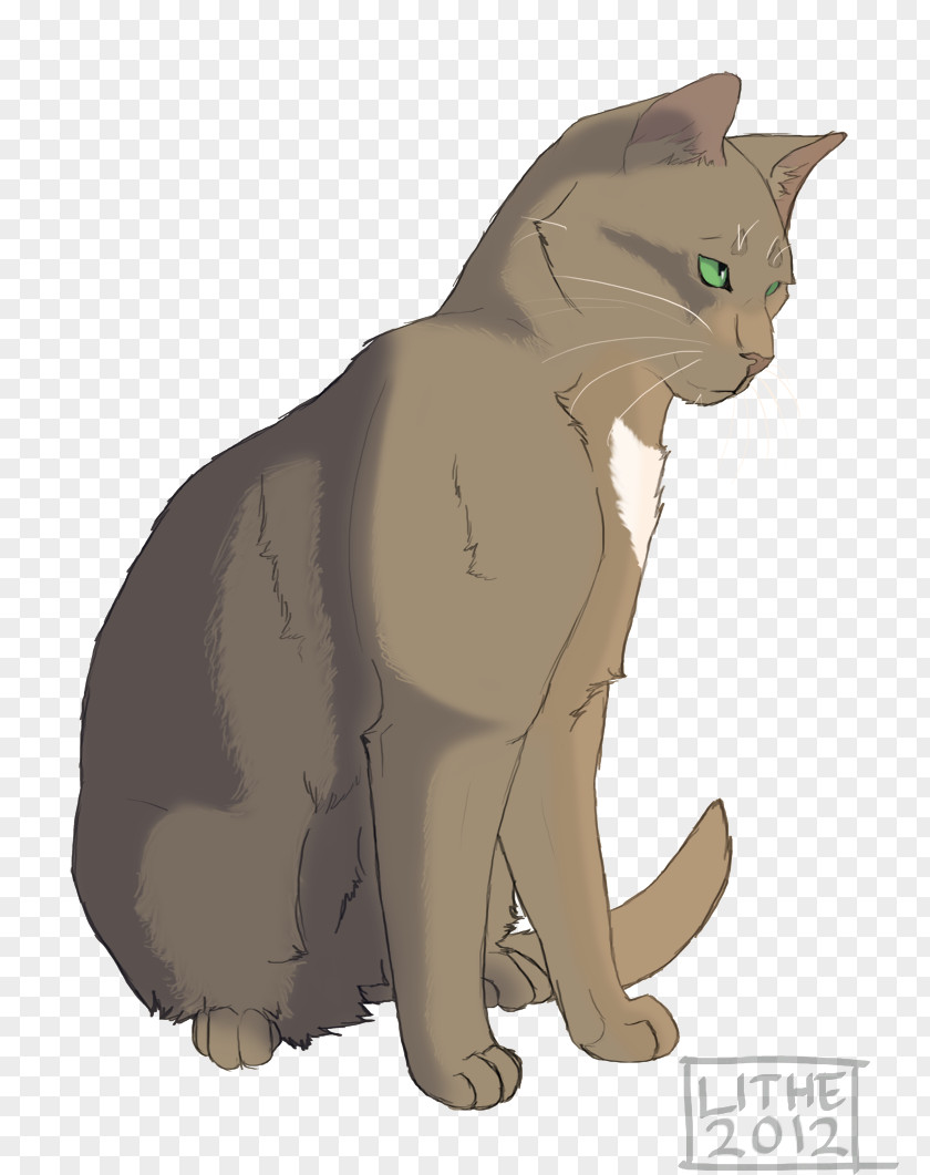 Bright Gold Cat Bluestar Warriors Thrushpelt Oakheart PNG