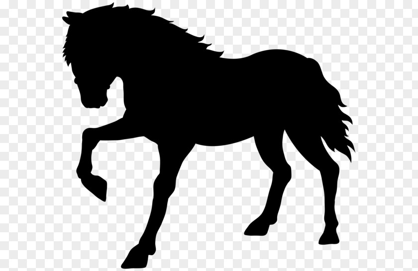 Horse Silhouette Drawing Clip Art PNG