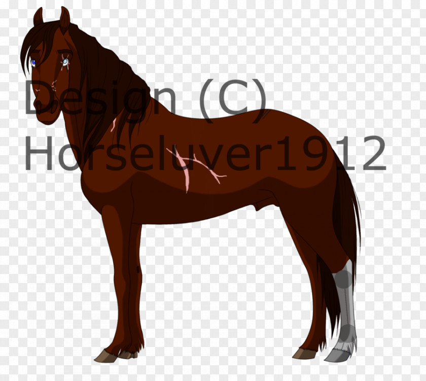 Mustang Mane Stallion Pony Mare PNG