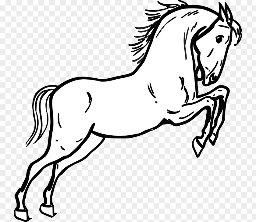 Cartoon Mustang Horse Tennessee Walking Stallion Jumping Clip Art PNG