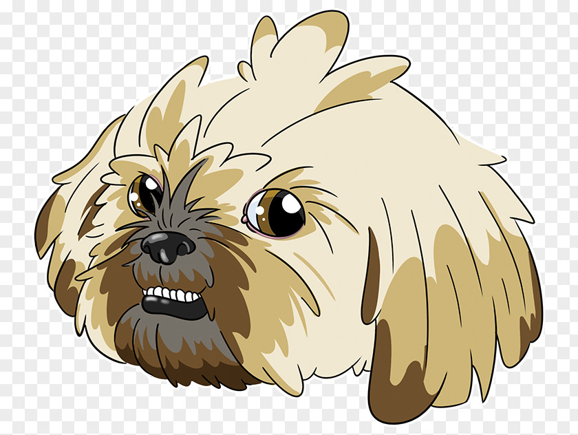 Norwich Terrier Maltese Chinese Background PNG