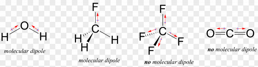 Polar Biology Bond Dipole Moment Covalent Hydrogen Chemical PNG