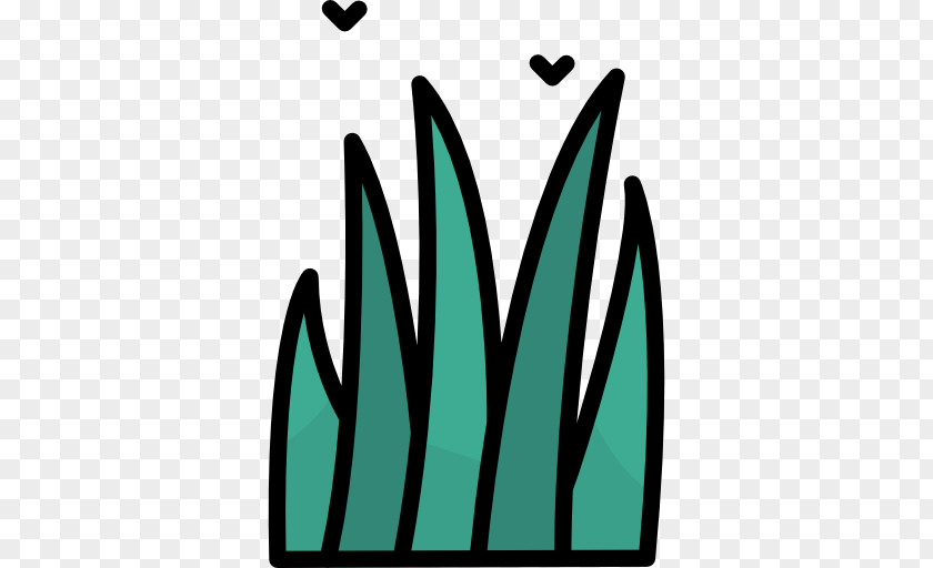 Aloe Vera Clip Art PNG