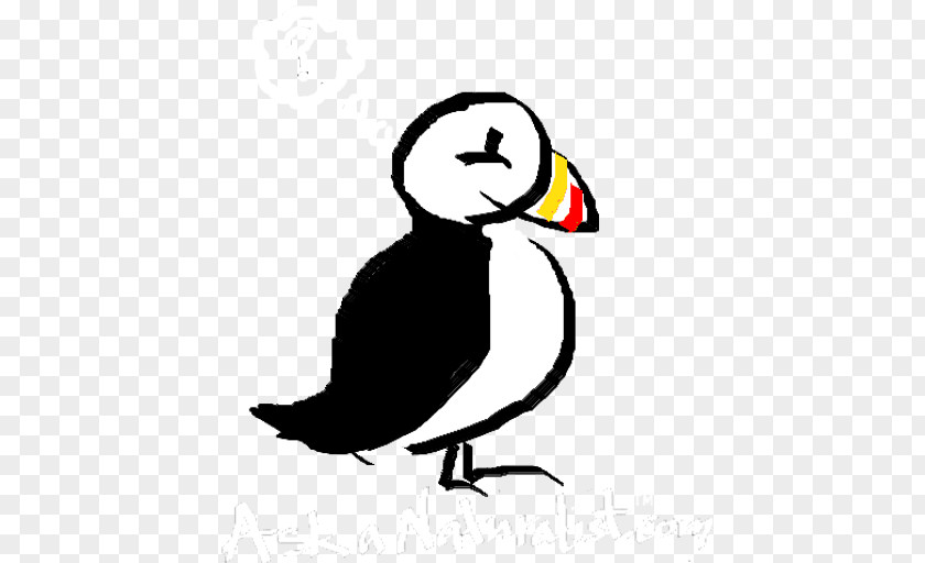 Bird Puffin Beak Drawing Clip Art PNG