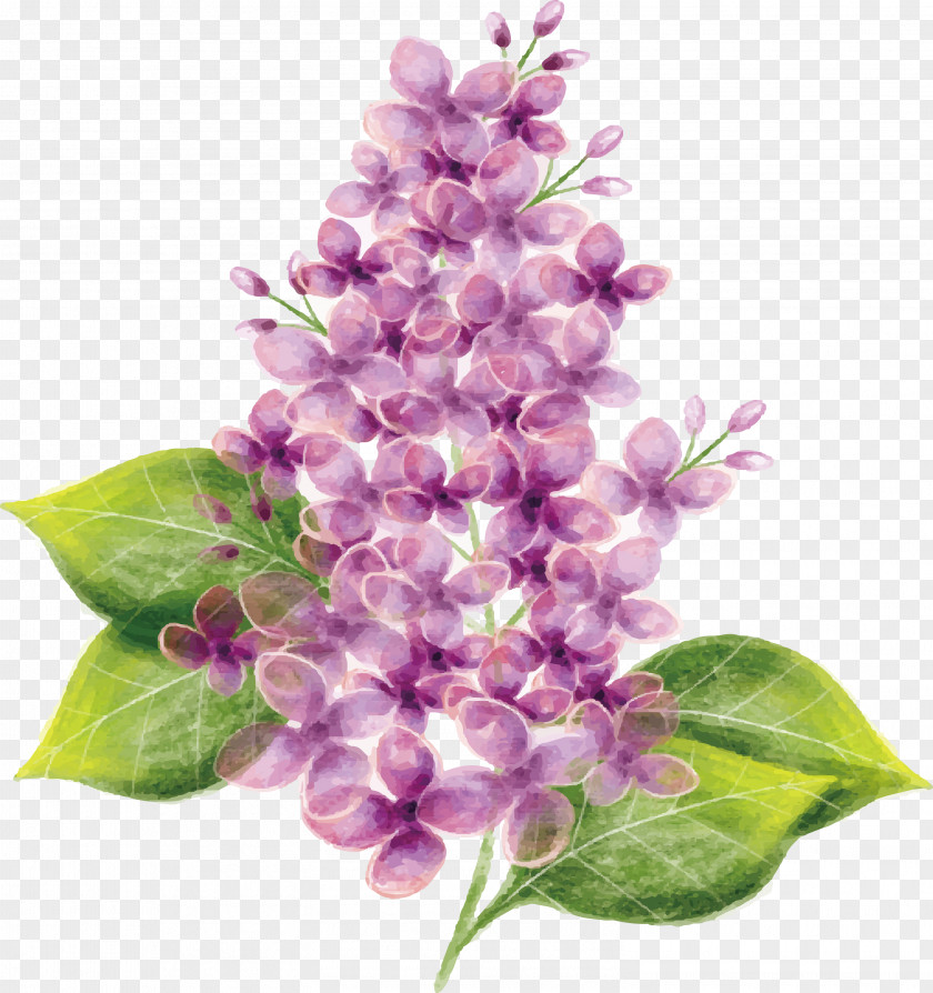 Exquisite Plant Design Purple Watercolor Painting PNG