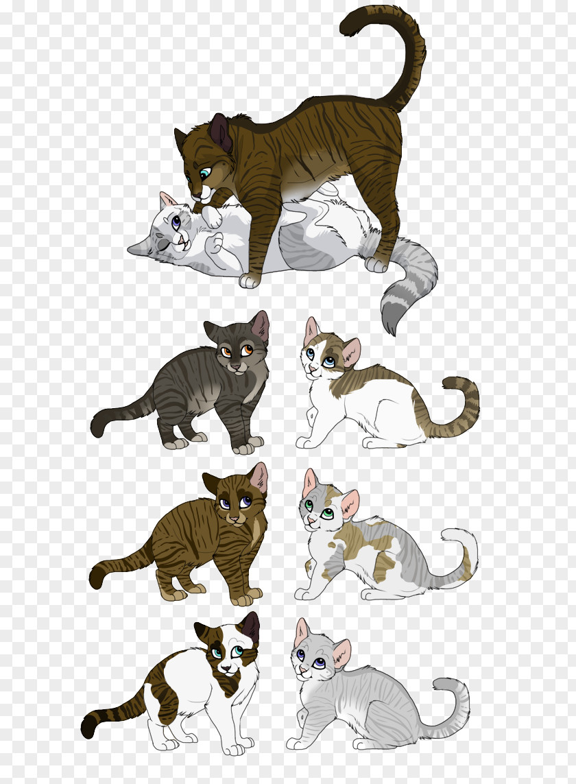 Fighting Ivypool Cat Drawing Warriors Dovewing PNG