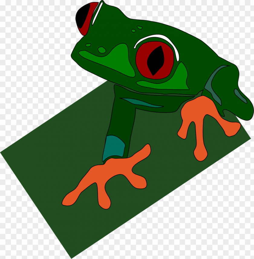 Frog Red-eyed Tree Poison Dart Clip Art PNG