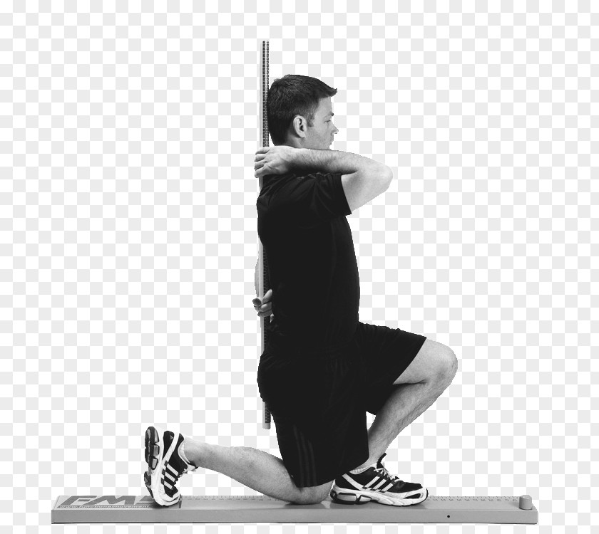 Lunges Functional Movement Training Lunge Personal Trainer Physical Fitness PNG