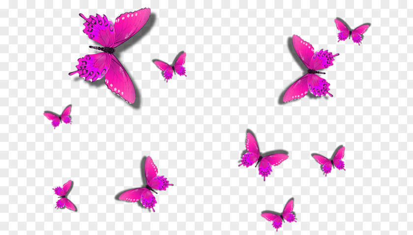 Pink Carpet Butterfly Painting Wall Decal PNG