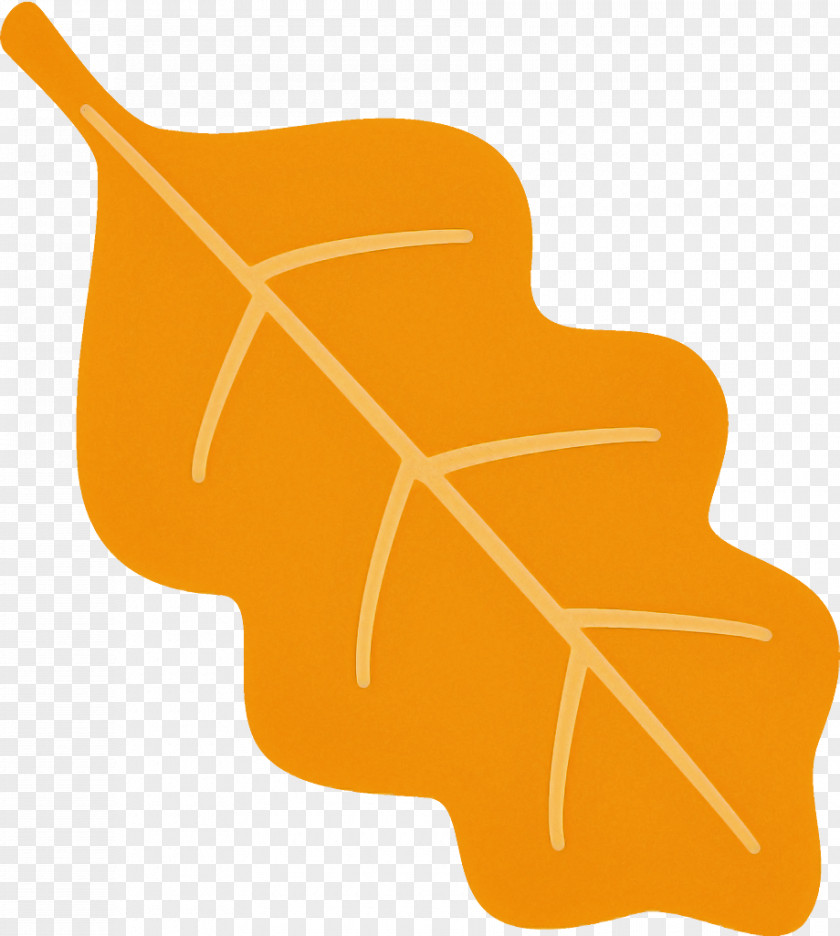 Autumn Leaf Fallen Dead PNG