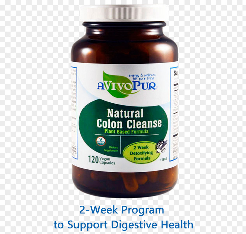 Colon Day Dietary Supplement Weight Loss Obesity Overweight PNG