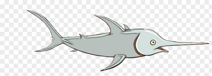 Sharks Line Art Porpoises Cetaceans Cartilaginous Fishes PNG