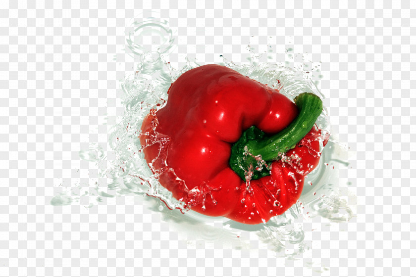 Water, Red Pepper Bell Chili Vegetable Fruit Tomato PNG