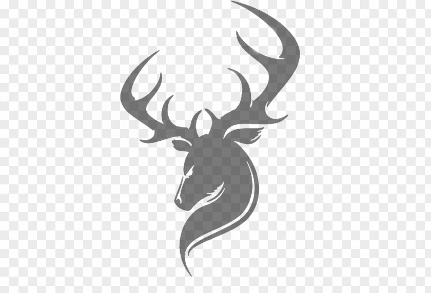 White Deer Reindeer Moose PNG