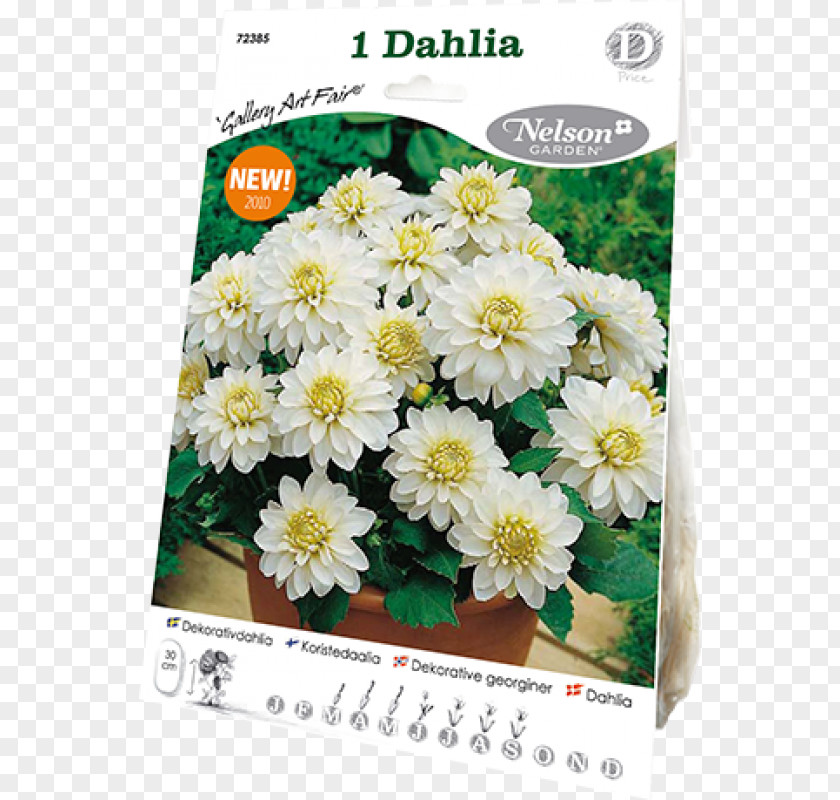 Chrysanthemum Dahlia Cut Flowers Flora Art Fair PNG