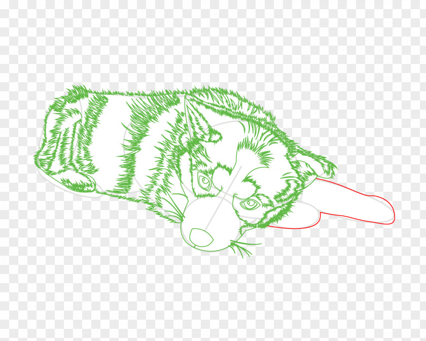 Draw A Snow Leopard Carnivores Illustration Product Font Leaf PNG