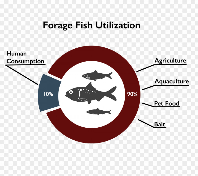 Forage Fish Aquaculture Food PNG