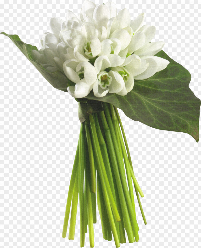 Bouquet Of White Material Flower Jasmine Floristry PNG