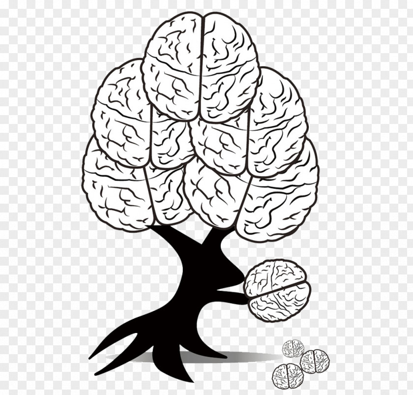 Creative Brain Human Cerebrum Illustration PNG