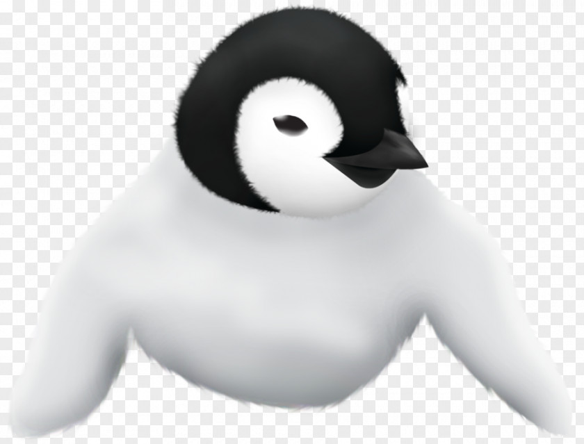 Duck Penguin Nose Beak PNG