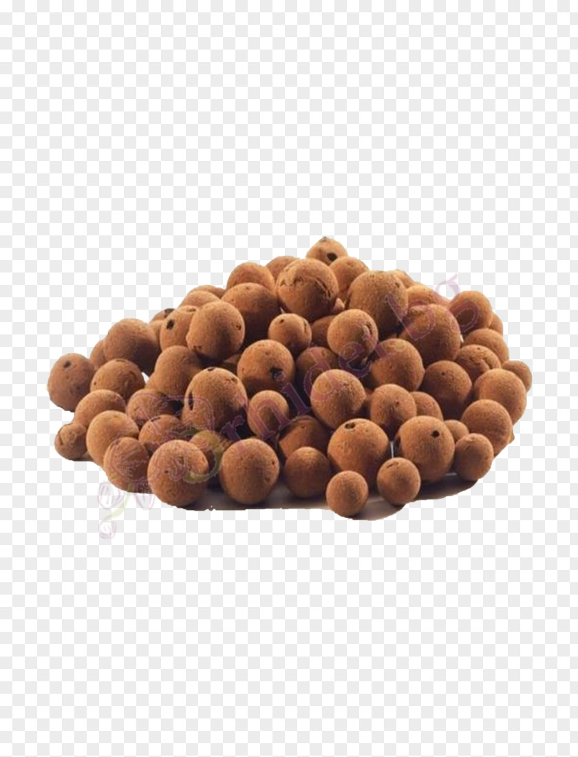 Expanded Clay Aggregate Hydroponics Aquaponics Pebble PNG