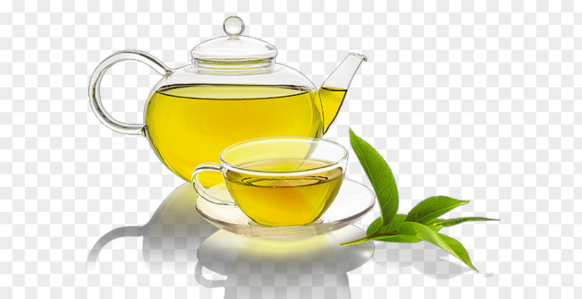 Green Tea Ethiopian Cuisine Juice Catechin PNG