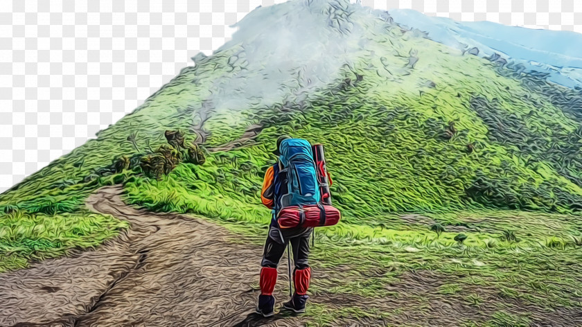 Hiking Mount Scenery Plant Community Mountain Range Forest PNG