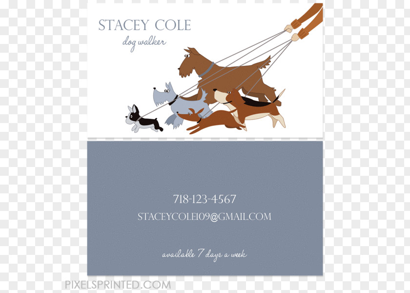 Pet Business Card Beagle Cat Bulldog Dog Walking Paseador De Perros PNG