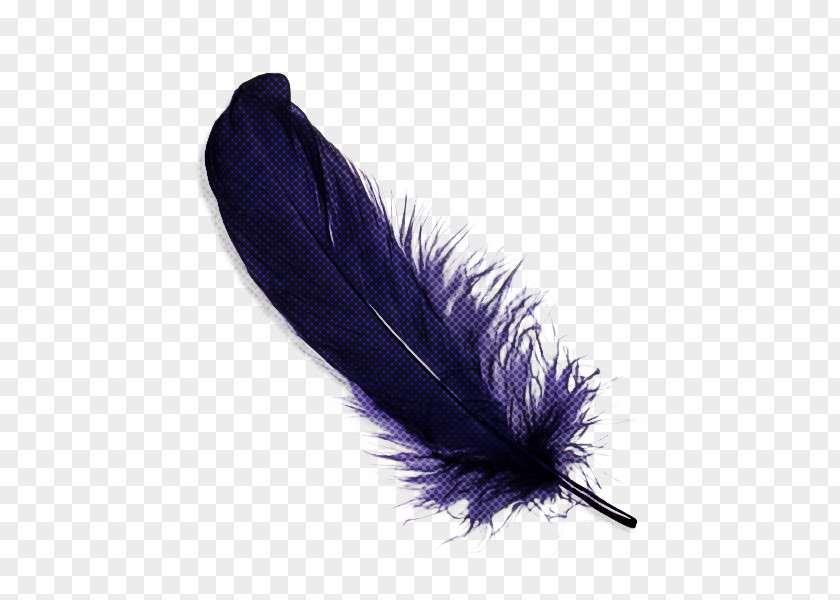 Feather PNG